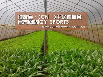 种植基地四