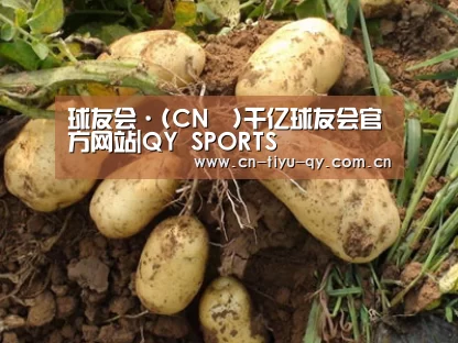 种植基地六