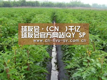 种植基地三
