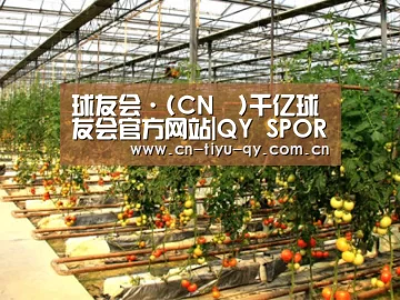 种植基地二(图1)